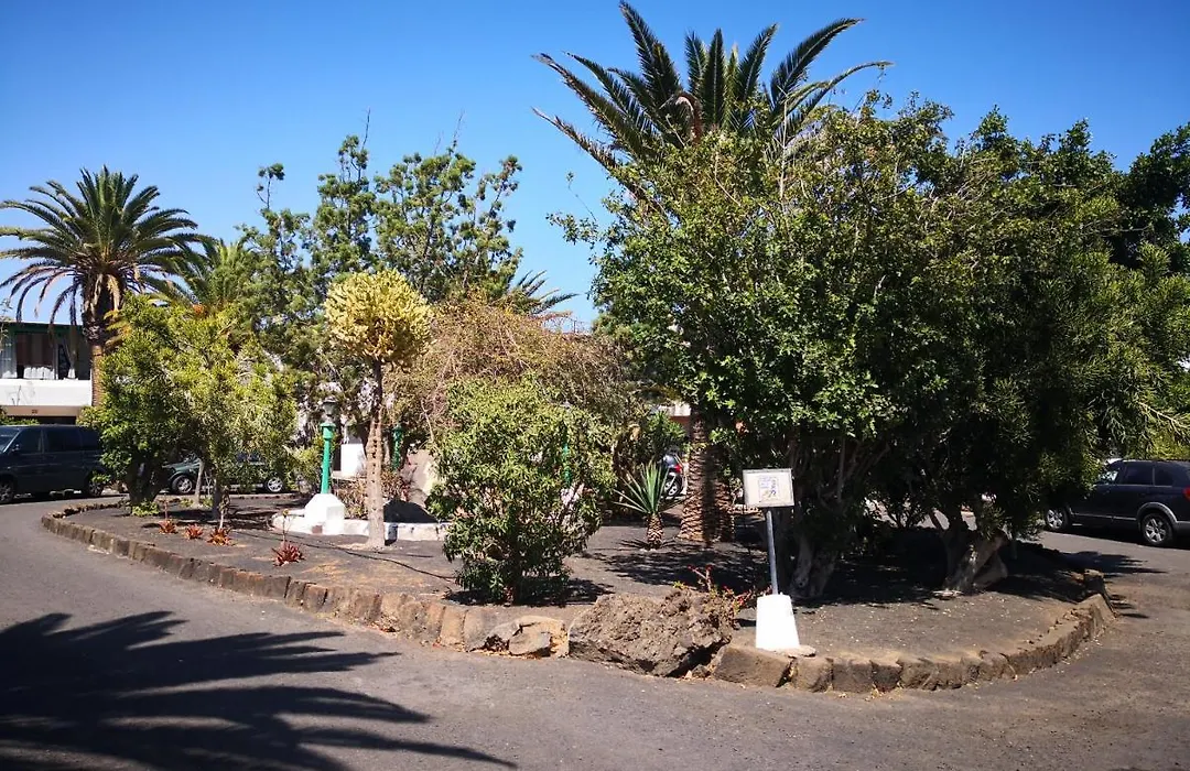 Casa Para Ti - Botanica-1