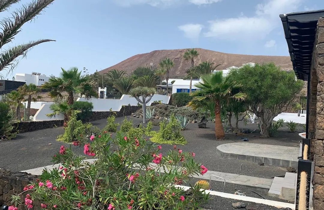 Sea Star Lanzarote-1