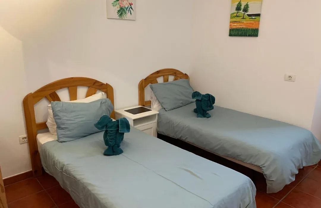 Basement Apartment Very Large Fantastic Location-1