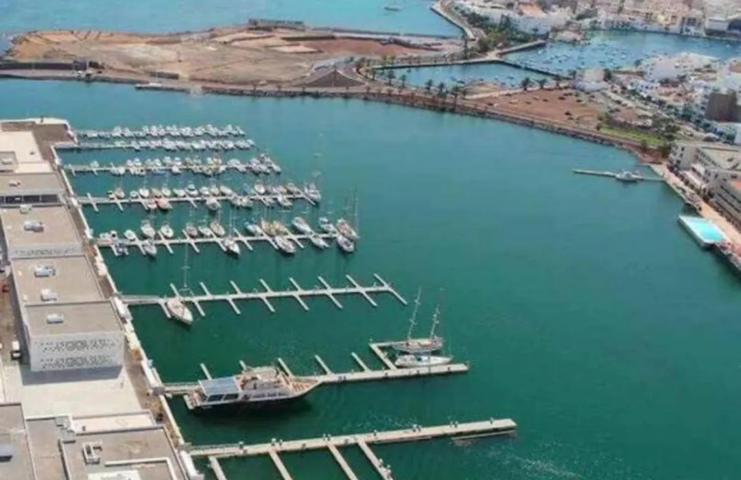 Las 3 Palmeras De Arrecife-1