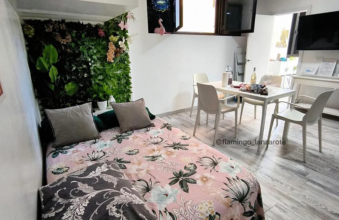 Sweet Apt Charco By Flamingo House-1