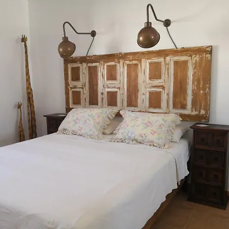 Casa Para Ti - Botanica-2