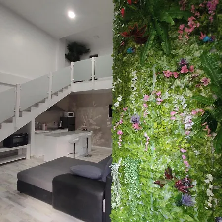 Loft El Charco By Flamingo House-2
