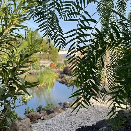 Ocean View-3