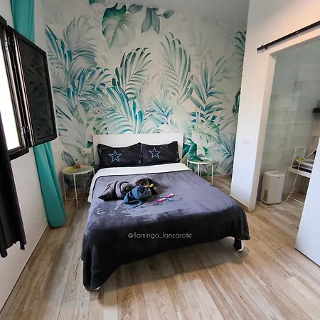 Habitación cactus, entrada privada y baño privado en suite by flamingo house, no fumadores-2
