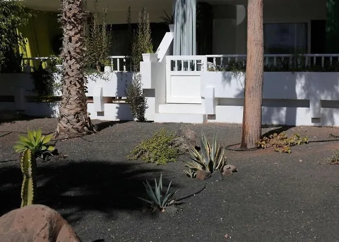 Daruma Apartments Costa Teguise