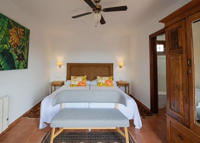 Hotel EL GRIFO San Bartolomé admite animales