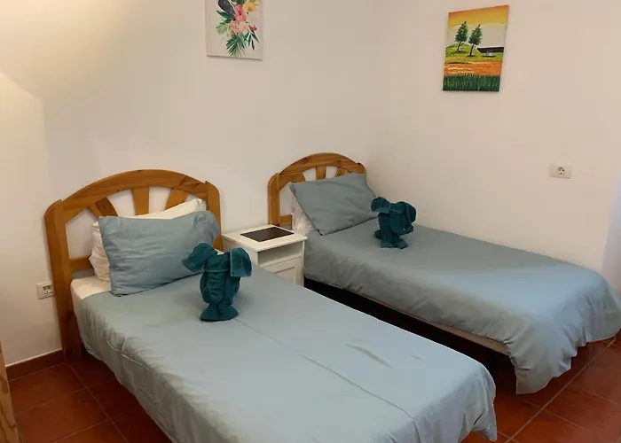 Basement Apartment Very Large Fantastic Location Playa Blanca  che accetta animali