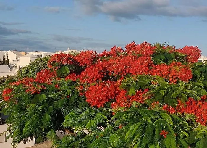 Loma Green Puerto del Carmen 