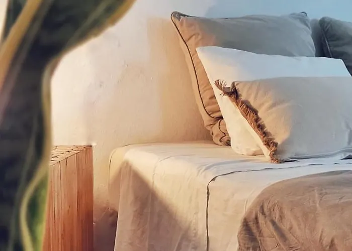B&B La Mimosa Teguise  admite animales