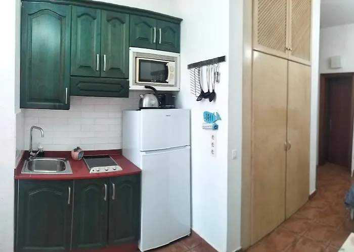 Estudio del Pescado en el Charco Arrecife 